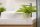 A boston fern in a small, square pot next to white basin