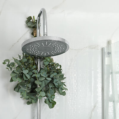 A eucalyptus branch is wrapped around a shower head